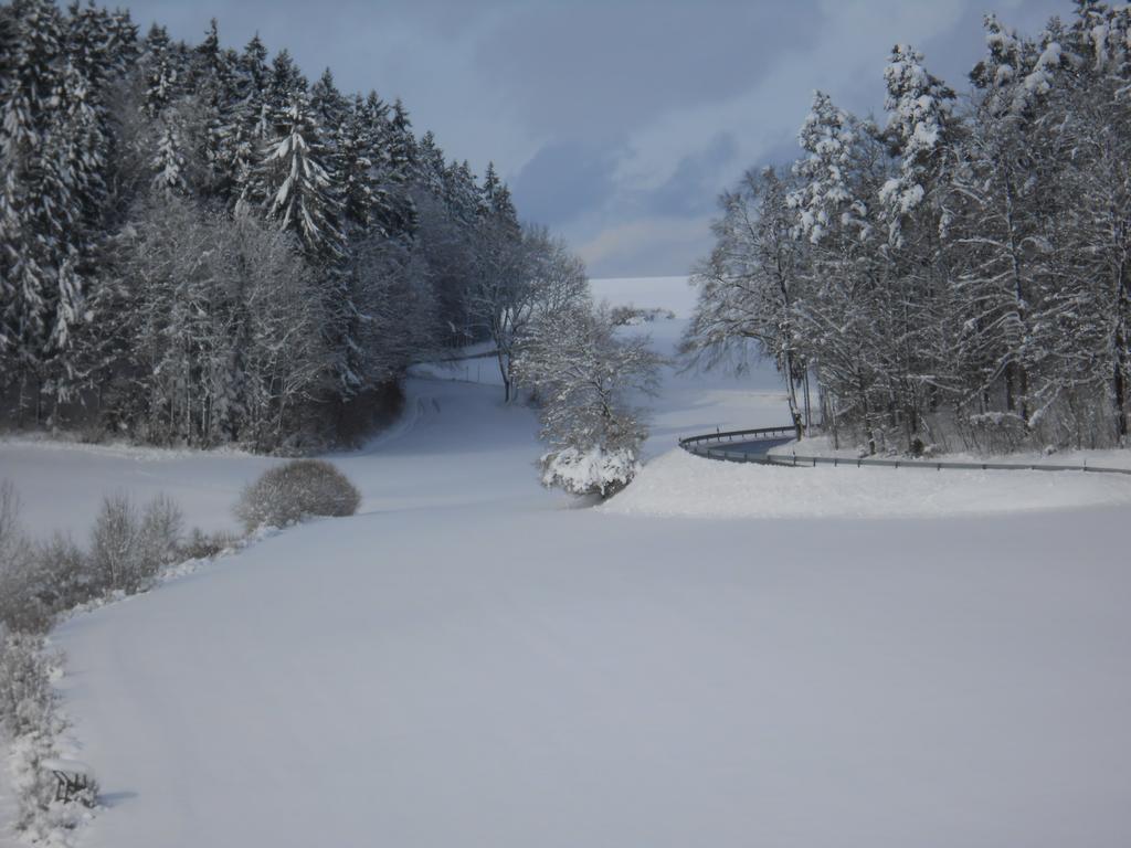 Landgasthof Schutzen Hotel Tengen Esterno foto